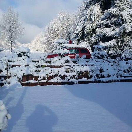 Ferienhaus Rosemarie Breungeshain المظهر الخارجي الصورة