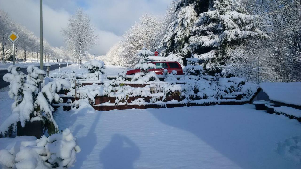 Ferienhaus Rosemarie Breungeshain المظهر الخارجي الصورة